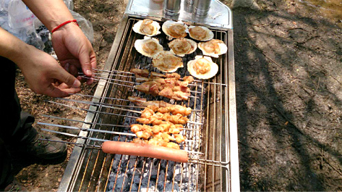 timg (1).jpg timg (1).jpg