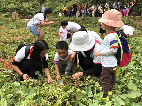 微信圖片_20171107163254.jpg 微信圖片_20171107163254.jpg