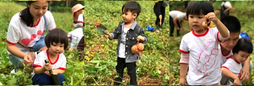 微信圖片_20171107163642.jpg 微信圖片_20171107163642.jpg