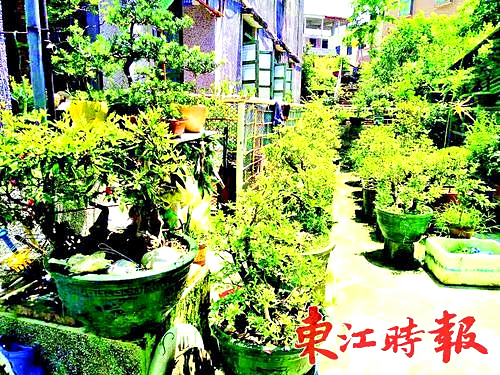 A7605C_2.jpg A7605C_2.jpg