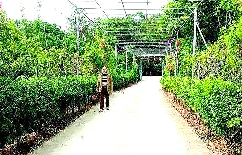 timg (2).jpg timg (2).jpg