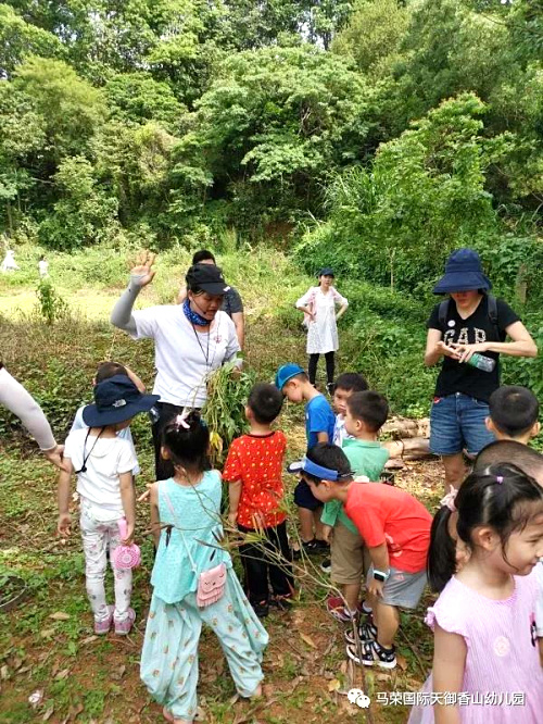 種紅薯.jpg 種紅薯.jpg