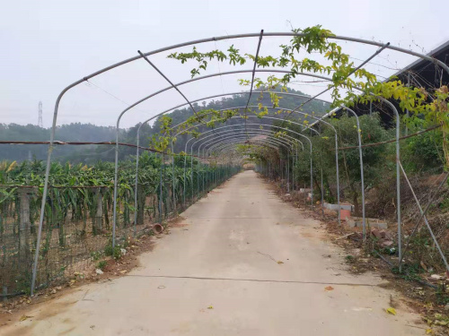 微信圖片_20191220093327.jpg 微信圖片_20191220093327.jpg