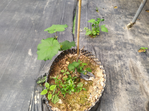 微信圖片_20200324163323.jpg 微信圖片_20200324163323.jpg