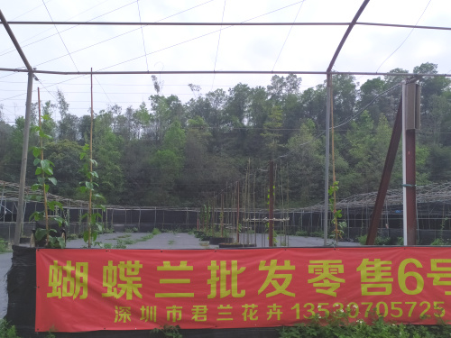 微信圖片_20200324170817.jpg 微信圖片_20200324170817.jpg