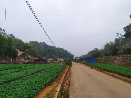 微信圖片_20191220093323.jpg 微信圖片_20191220093323.jpg