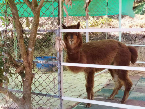 微信圖片_20200107162945.jpg 微信圖片_20200107162945.jpg