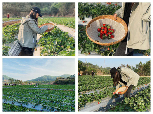 微信圖片_20200724154321.jpg 微信圖片_20200724154321.jpg